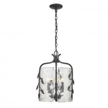 Golden Canada 3160-3P NB-HWG - Calla 3 Light Pendant in Natural Black with Hammered Water Glass Shade