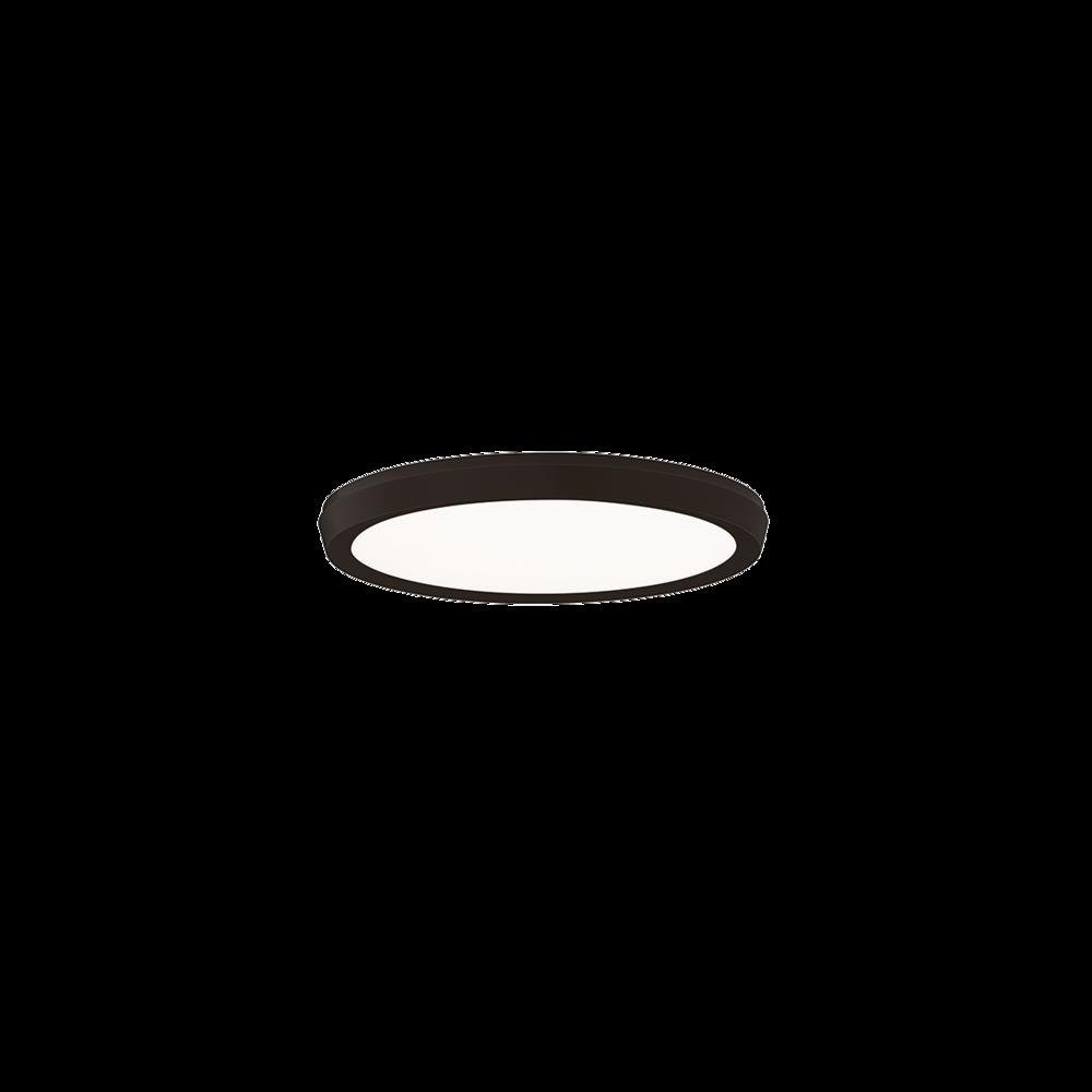 Argo Flush Mount Light