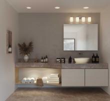 PROG_Estrada_Modern_powder_room_P300479-015_3D_appshot.jpg