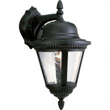 Progress P5863-31 - P5863-31 WALL LANTERN 1-100W MED