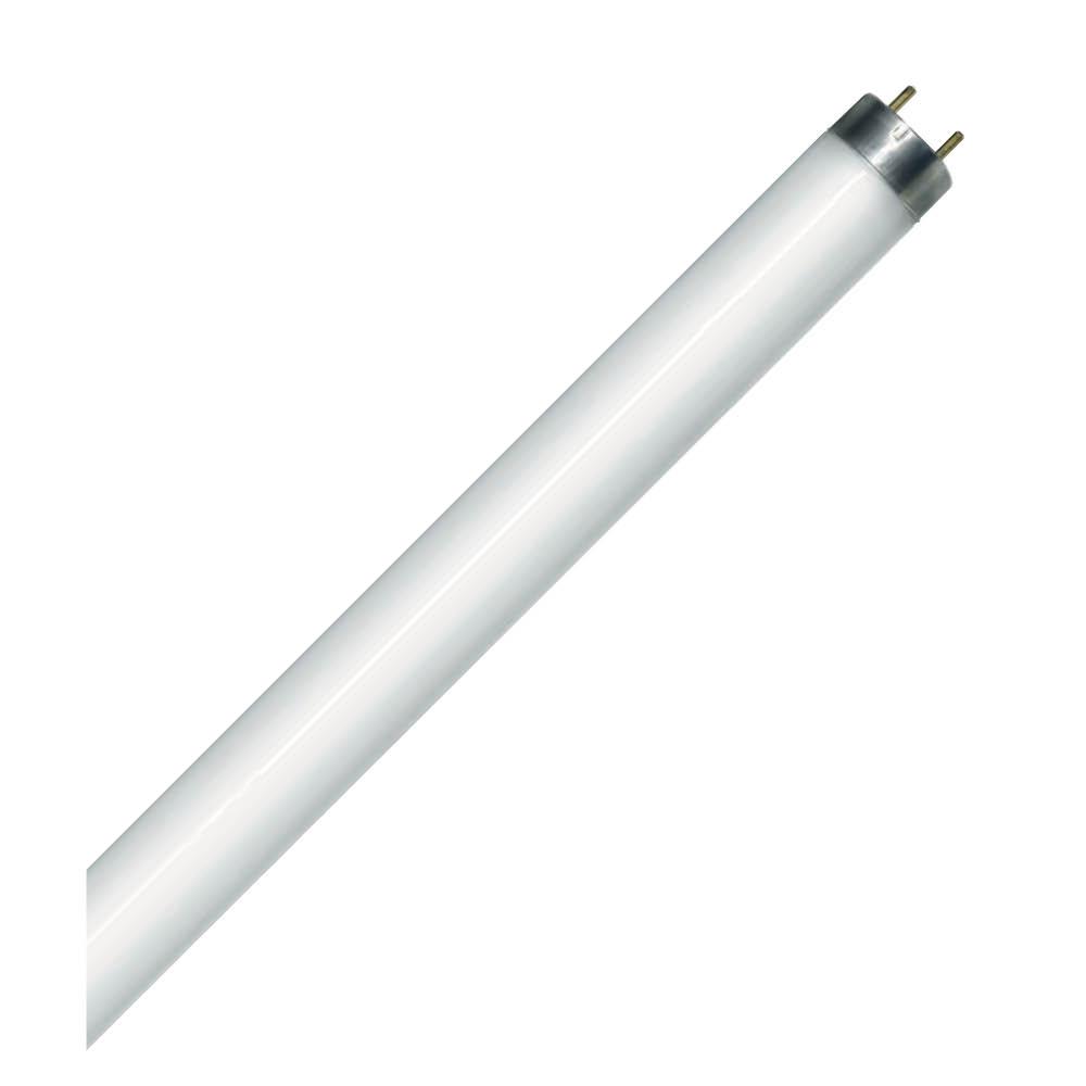 Fluorescent LINEAR T8 12IN Med Bipin Base 13W 4100K Preheat Start (PH) Standard