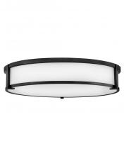 Hinkley Canada 3244BK - Large Flush Mount