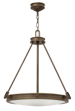 Hinkley Canada 3384LZ - Small Pendant