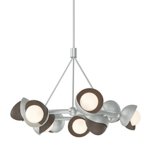 Hubbardton Forge - Canada 131068-SKT-MULT-82-05-GG0711 - Brooklyn 9-Light Double Shade Ring Pendant