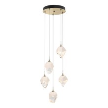 Hubbardton Forge - Canada 131137-SKT-LONG-86-WP0754 - Chrysalis 5-Light Small Crystal Pendant