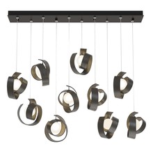 Hubbardton Forge - Canada 131208-SKT-STND-07-GG0711 - Riza 10-Light Pendant