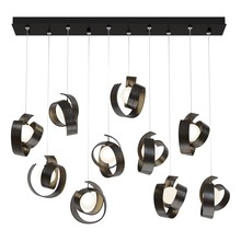 Hubbardton Forge - Canada 131208-SKT-STND-14-GG0711 - Riza 10-Light Pendant