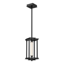 Hubbardton Forge - Canada 131630-LED-MULT-89-ZM0733 - Athena 1-Light Small LED Lantern