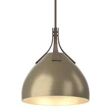 Hubbardton Forge - Canada 134502-SKT-MULT-05-84 - Summit Pendant