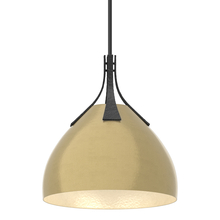 Hubbardton Forge - Canada 134502-SKT-MULT-10-86 - Summit Pendant