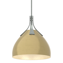 Hubbardton Forge - Canada 134502-SKT-MULT-82-86 - Summit Pendant