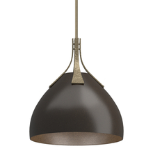 Hubbardton Forge - Canada 134502-SKT-MULT-84-14 - Summit Pendant