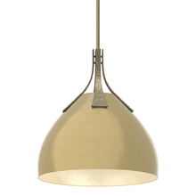 Hubbardton Forge - Canada 134502-SKT-MULT-84-86 - Summit Pendant