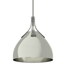 Hubbardton Forge - Canada 134502-SKT-MULT-85-85 - Summit Pendant