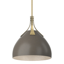 Hubbardton Forge - Canada 134502-SKT-MULT-86-07 - Summit Pendant