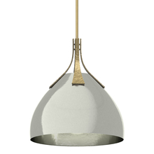 Hubbardton Forge - Canada 134502-SKT-MULT-86-85 - Summit Pendant