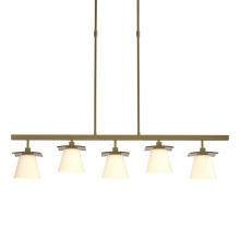 Hubbardton Forge - Canada 136605-SKT-LONG-86-GG0242 - Wren 5 Light Pendant