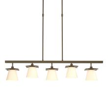 Hubbardton Forge - Canada 136605-SKT-STND-84-GG0242 - Wren 5 Light Pendant