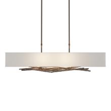 Hubbardton Forge - Canada 137660-SKT-LONG-05-SJ4298 - Brindille Pendant