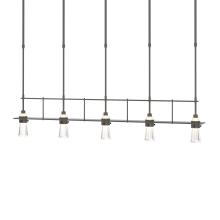 Hubbardton Forge - Canada 137725-SKT-SHRT-07-ZM0343 - Erlenmeyer 5 Light Pendant