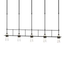 Hubbardton Forge - Canada 137725-SKT-SHRT-14-ZM0343 - Erlenmeyer 5 Light Pendant