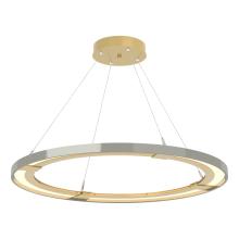 Hubbardton Forge - Canada 139776-LED-STND-86-85 - Ringo LED Pendant