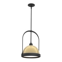 Hubbardton Forge - Canada 187462-SKT-MULT-10-86 - Atlas Small Pendant