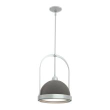 Hubbardton Forge - Canada 187462-SKT-MULT-82-20 - Atlas Small Pendant