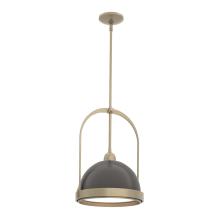 Hubbardton Forge - Canada 187462-SKT-MULT-84-14 - Atlas Small Pendant