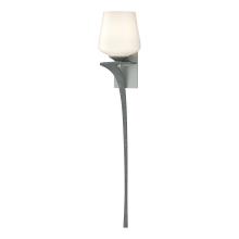 Hubbardton Forge - Canada 204710-SKT-LFT-82-GG0236 - Antasia Single Glass 1 Light Sconce