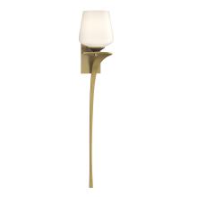 Hubbardton Forge - Canada 204710-SKT-RGT-86-GG0236 - Antasia Single Glass 1 Light Sconce