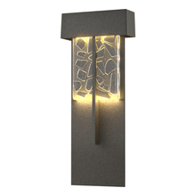 Hubbardton Forge - Canada 302518-LED-20-YP0669 - Shard XL Outdoor Sconce