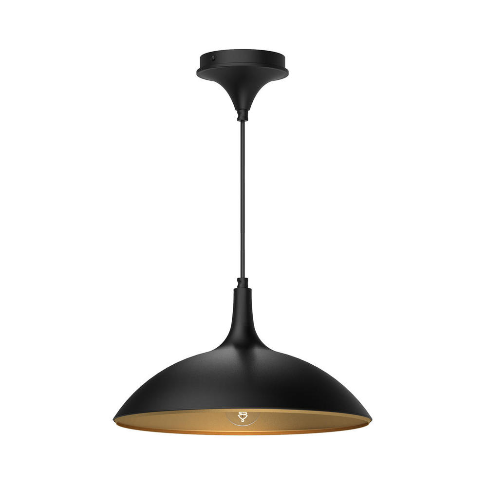 Abel 14-in Matte Black 1 Light Pendant