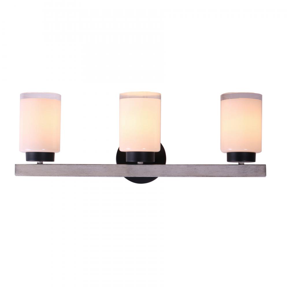 Briggs 24'' Wide 3-Light Vanity Light - Black